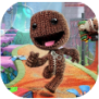 sackboy